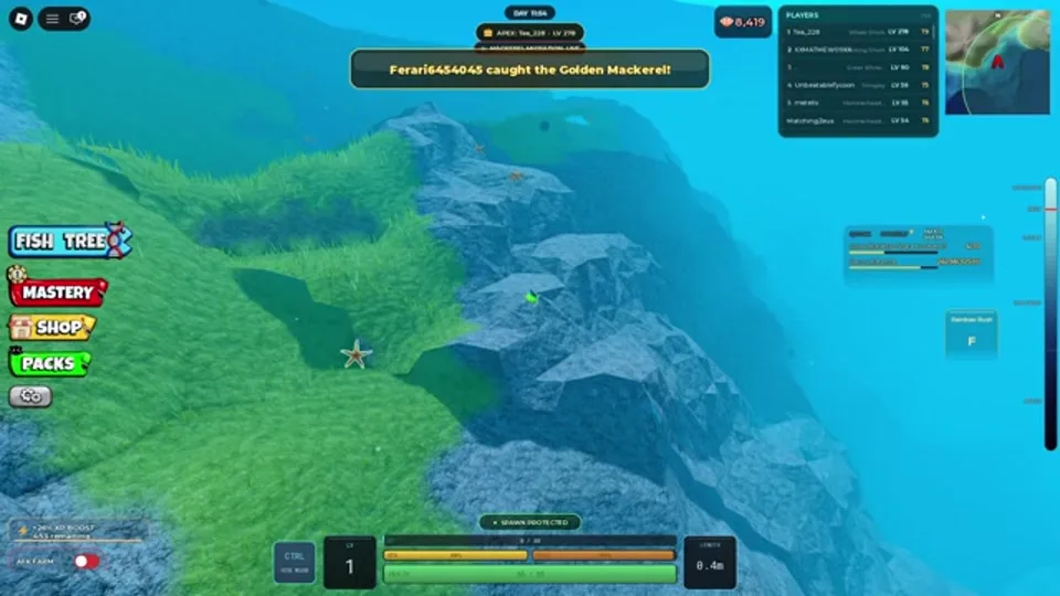 Golden Mackerel catch announcement